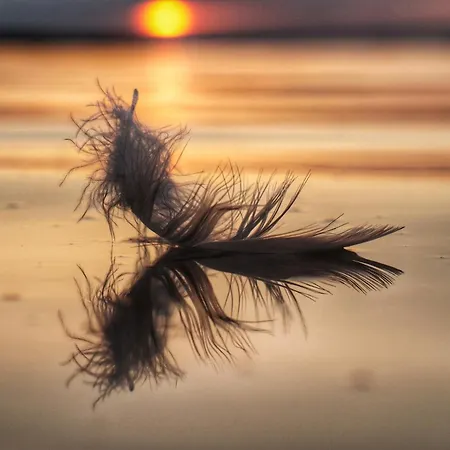 Ahoi Salzhaff Apartment